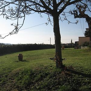 منزل الضيف Cerbaia  في Agriturismo Le Caselle Room photo