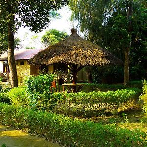 Nature Safari Resort Bardiya Exterior photo