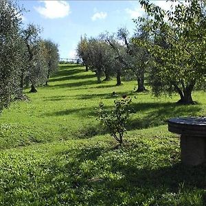 Villa Podere Torre San Gervasio Exterior photo