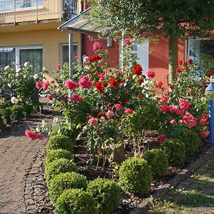 شقة Ferienhaus Schloss-Garten Kapellen-Drusweiler Exterior photo