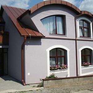 فندق Penzion Terra Banensium Banská Štiavnica Exterior photo