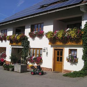 فيلا Schönthalفي Ferienhof Ring Exterior photo