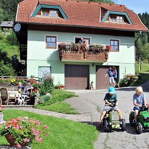 فيلا Schlintl-Hof Liebenfels Exterior photo