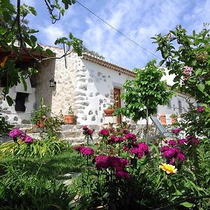 منزل الضيف مونشيك  في Quinta Do Tempo Turismo Rural Exterior photo
