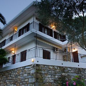 Kolios Villa Mitsa Exterior photo