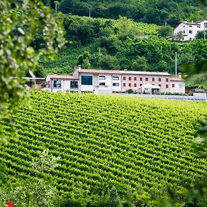 فيلا Tarzoفي Ca' Piadera Wine Relais Exterior photo