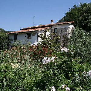 منزل الضيف Ferentillo  في Casale Le Due Querce Exterior photo