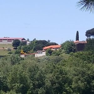 فندق Casa Felisa Marcelle Exterior photo