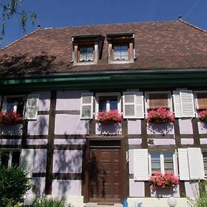 Suarce Chambres D'Hotes "Aux Portes De L'Alsace" Exterior photo