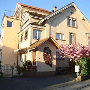 بازل Niros Bed & Breakfast Exterior photo