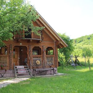 فيلا Saduba Kozatska Detsa جدينييفو Room photo