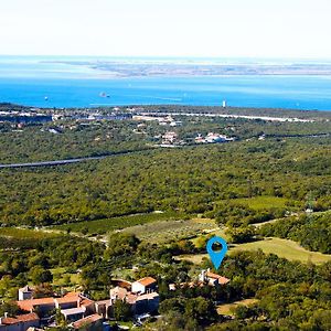 فيلا Terra Del Carso San Pelagio Exterior photo