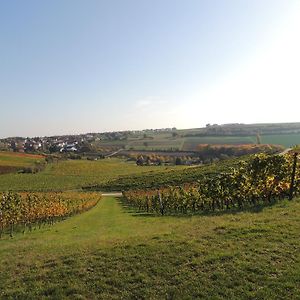 فندق Weingut Seck Dolgesheim Exterior photo