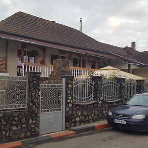 شقة Haţeg  في Casa Leo Exterior photo