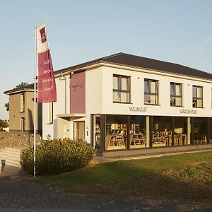 فندق Meyerhof - Weingut, Vinothek & Gaestehaus فلونهايم Exterior photo