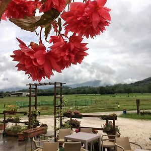 فيلا Agriturismo San Floreano Buia Exterior photo