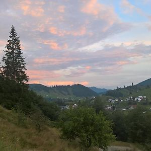 فندق Vila Bucovina Ciocanesti Exterior photo