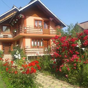 فندق Nopti De Vara Transfagarasan Capatineni-Paminteni Exterior photo