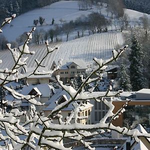 شقة Weingut Wissler - Brennerei Au Exterior photo