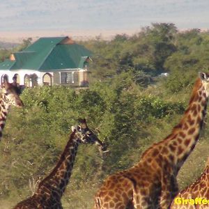 Narasha Homestay - Maasai Mara تاليك Exterior photo