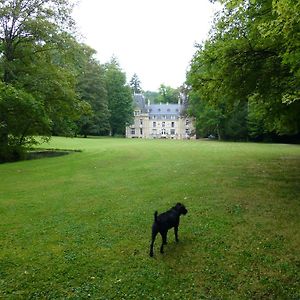 فيلا Chateau De La Raffe Naix-aux-Forges Exterior photo