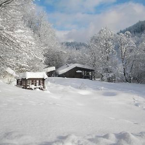 فيلا Chalet Kukavica جدينييفو Exterior photo