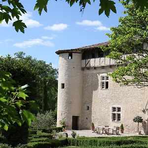Castelnau-de-Montmiral Chateau De Mayragues Exterior photo