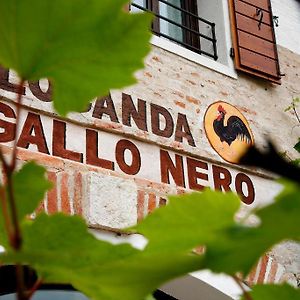 فندق Al Gallo Nero Borgoricco Exterior photo