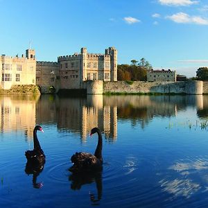 ميدستون Leeds Castle Stable Courtyard Bed And Breakfast Exterior photo