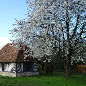 فيلا Gite Falafa Normand Pont-Évêque Exterior photo