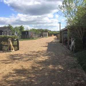 Willow Court Farm The Lodge & Petting Farm, 8 Mins From Legoland & Windsor, 15 Mins From Lapland Uk Exterior photo