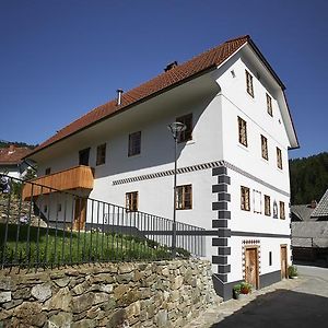 Juvanova Hisa - Apartments And Rooms Luče Exterior photo