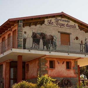 فيلا Agriturismo Le Vigne Ducali Màndas Exterior photo