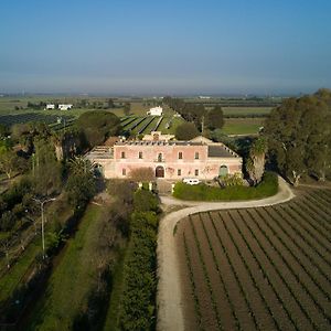 ساليس سالينتينو Masseria Mazzetta Salento Corte Del Falconiere B&B Exterior photo