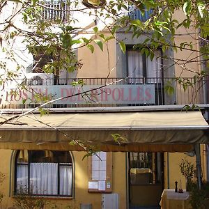 فندق Hostal Del Ripolles Exterior photo