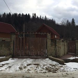 ميغوفو Guest House In Carpathians Exterior photo