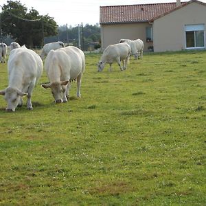 مبيت وإفطار Neuvy-en-Mauges Chambre D'Hotes La Basse Gougeonniere Exterior photo