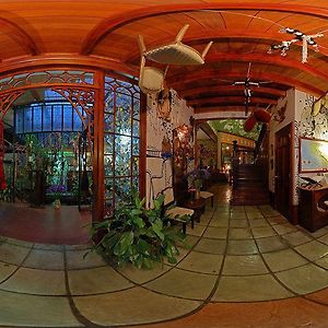 سان هوزيه Corteza Amarilla Art Lodge Spa Exterior photo