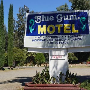 ويلاوس Blue Gum Motel Exterior photo