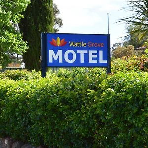 Wattle Grove Motel ماريبوروه Exterior photo