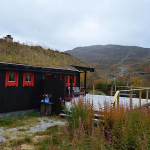 فيلا Vågsliفي Haukeli Mountain Cabin Exterior photo