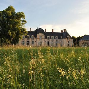 مبيت وإفطار Baccon Chateau La Touanne Loire Valley Exterior photo