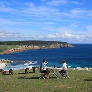 فندق Waves And Wildlife Stokes Bay Exterior photo