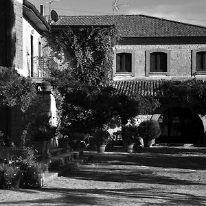 فندق La Caveja Pietravairano Exterior photo