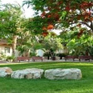 فندق Kibbutz الموك Exterior photo