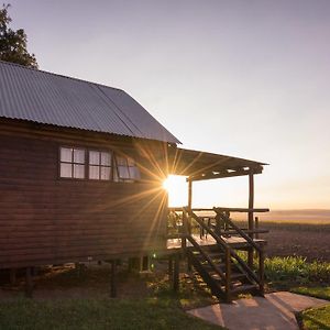 مبيت وإفطار Dalton Christa'S Gasthaus Exterior photo