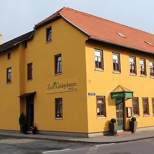 فندق Stadtilmفي  Zum Ginkgobaum Exterior photo