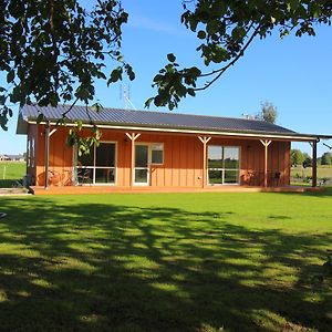 ماتاماتا Walnut Lodge B&B Exterior photo