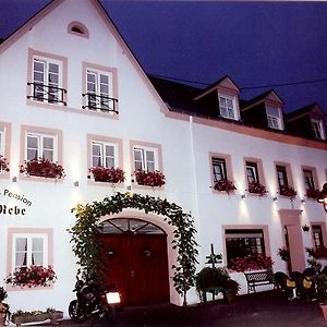 فندق ميهرينغفي  Gasthaus Zur Rebe Exterior photo