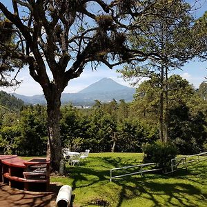 مبيت وإفطار El Tejar Bosque Macadamia Exterior photo